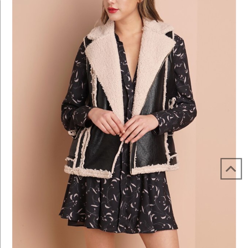Anthropology Greylin Vest